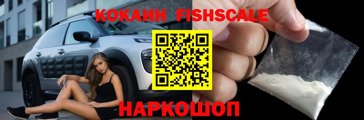 Cocaine Fish Scale  Вход с VPN  Вятские Поляны  Cocaine 97% 