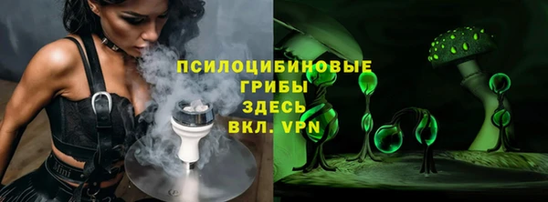 марки lsd Белокуриха