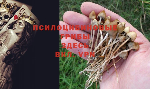 мдпв Беломорск