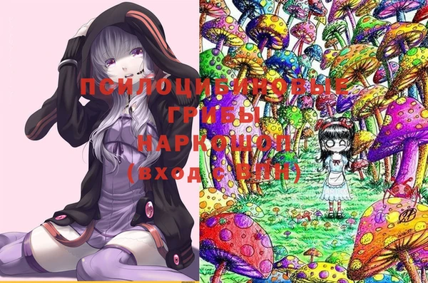 марки lsd Белокуриха