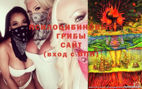 марки lsd Белокуриха
