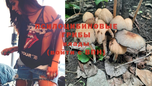 мдпв Беломорск
