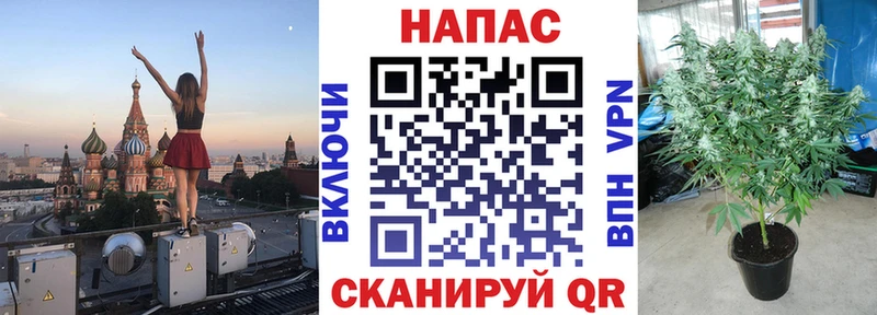 мега ссылки  Вятские Поляны  Конопля планчик 